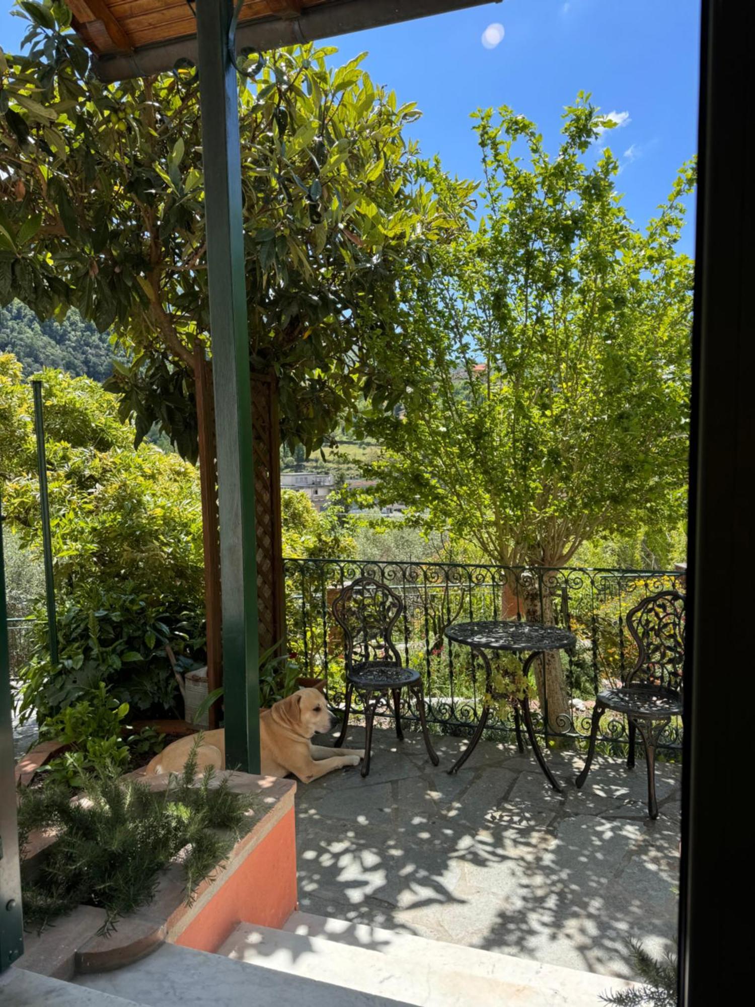 Appartement “Da Gio” In Un Antico Borgo Di Genova Extérieur photo